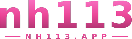 nh113 logo